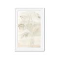 Picture of Transparent Tulip II _GroupedProduct_Rectangle_Portrait_Framed_Matted_