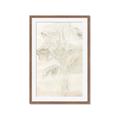 Picture of Transparent Tulip II _GroupedProduct_Rectangle_Portrait_Framed_Matted_