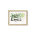 Picture of Pots With Flower _GroupedProduct_Rectangle_Landscape_Framed_Matted_