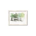 Picture of Pots With Flower _GroupedProduct_Rectangle_Landscape_Framed_Matted_