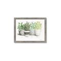 Picture of Pots With Flower _GroupedProduct_Rectangle_Landscape_Framed_Matted_