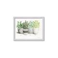 Picture of Pots With Flower _GroupedProduct_Rectangle_Landscape_Framed_Matted_