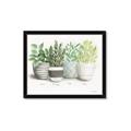 Picture of Pots With Flower _GroupedProduct_Rectangle_Landscape_Framed_Matted_