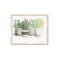 Picture of Pots With Flower _GroupedProduct_Rectangle_Landscape_Framed_Matted_