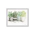 Picture of Pots With Flower _GroupedProduct_Rectangle_Landscape_Framed_Matted_