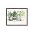 Picture of Pots With Flower _GroupedProduct_Rectangle_Landscape_Framed_Matted_