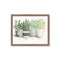 Picture of Pots With Flower _GroupedProduct_Rectangle_Landscape_Framed_Matted_