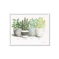 Picture of Pots With Flower _GroupedProduct_Rectangle_Landscape_Framed_Matted_