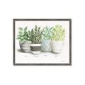 Picture of Pots With Flower _GroupedProduct_Rectangle_Landscape_Framed_Matted_