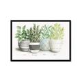 Picture of Pots With Flower _GroupedProduct_Rectangle_Landscape_Framed_Matted_