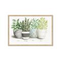 Picture of Pots With Flower _GroupedProduct_Rectangle_Landscape_Framed_Matted_