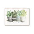 Picture of Pots With Flower _GroupedProduct_Rectangle_Landscape_Framed_Matted_