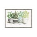 Picture of Pots With Flower _GroupedProduct_Rectangle_Landscape_Framed_Matted_