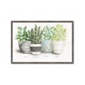 Picture of Pots With Flower _GroupedProduct_Rectangle_Landscape_Framed_Matted_