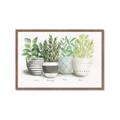 Picture of Pots With Flower _GroupedProduct_Rectangle_Landscape_Framed_Matted_