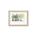 Picture of Pots With Flower _GroupedProduct_Rectangle_Landscape_Framed_Matted_