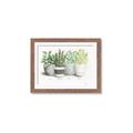 Picture of Pots With Flower _GroupedProduct_Rectangle_Landscape_Framed_Matted_