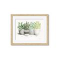 Picture of Pots With Flower _GroupedProduct_Rectangle_Landscape_Framed_Matted_