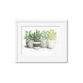 Picture of Pots With Flower _GroupedProduct_Rectangle_Landscape_Framed_Matted_
