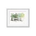 Picture of Pots With Flower _GroupedProduct_Rectangle_Landscape_Framed_Matted_