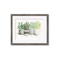 Picture of Pots With Flower _GroupedProduct_Rectangle_Landscape_Framed_Matted_
