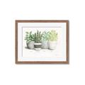 Picture of Pots With Flower _GroupedProduct_Rectangle_Landscape_Framed_Matted_