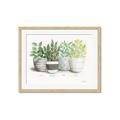Picture of Pots With Flower _GroupedProduct_Rectangle_Landscape_Framed_Matted_