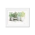 Picture of Pots With Flower _GroupedProduct_Rectangle_Landscape_Framed_Matted_