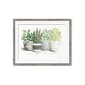 Picture of Pots With Flower _GroupedProduct_Rectangle_Landscape_Framed_Matted_