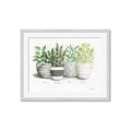 Picture of Pots With Flower _GroupedProduct_Rectangle_Landscape_Framed_Matted_