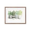 Picture of Pots With Flower _GroupedProduct_Rectangle_Landscape_Framed_Matted_