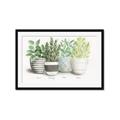 Picture of Pots With Flower _GroupedProduct_Rectangle_Landscape_Framed_Matted_