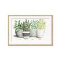 Picture of Pots With Flower _GroupedProduct_Rectangle_Landscape_Framed_Matted_