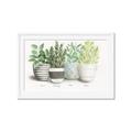Picture of Pots With Flower _GroupedProduct_Rectangle_Landscape_Framed_Matted_