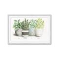 Picture of Pots With Flower _GroupedProduct_Rectangle_Landscape_Framed_Matted_