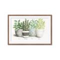 Picture of Pots With Flower _GroupedProduct_Rectangle_Landscape_Framed_Matted_