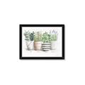 Picture of Pots With Flower I _GroupedProduct_Rectangle_Landscape_Framed_Matted_