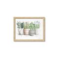 Picture of Pots With Flower I _GroupedProduct_Rectangle_Landscape_Framed_Matted_