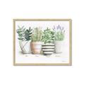 Picture of Pots With Flower I _GroupedProduct_Rectangle_Landscape_Framed_Matted_