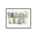 Picture of Pots With Flower I _GroupedProduct_Rectangle_Landscape_Framed_Matted_