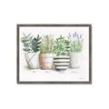 Picture of Pots With Flower I _GroupedProduct_Rectangle_Landscape_Framed_Matted_