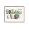 Picture of Pots With Flower I _GroupedProduct_Rectangle_Landscape_Framed_Matted_