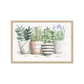 Picture of Pots With Flower I _GroupedProduct_Rectangle_Landscape_Framed_Matted_