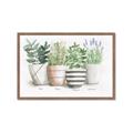 Picture of Pots With Flower I _GroupedProduct_Rectangle_Landscape_Framed_Matted_
