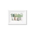 Picture of Pots With Flower I _GroupedProduct_Rectangle_Landscape_Framed_Matted_