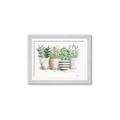 Picture of Pots With Flower I _GroupedProduct_Rectangle_Landscape_Framed_Matted_