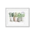 Picture of Pots With Flower I _GroupedProduct_Rectangle_Landscape_Framed_Matted_