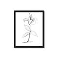 Picture of Single Flower VIII _GroupedProduct_Rectangle_Portrait_Framed_Matted_