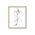 Picture of Single Flower VIII _GroupedProduct_Rectangle_Portrait_Framed_Matted_