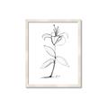 Picture of Single Flower VIII _GroupedProduct_Rectangle_Portrait_Framed_Matted_